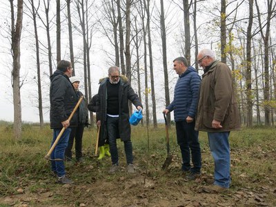 El paer en cap ha participat en la plantada popular d'arbres que s'ha portat a terme.