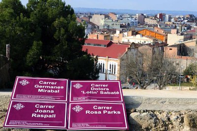 Reproducció en vinil de la imatge que lluiran les noves plaques.