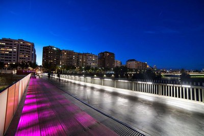 La passarel·la dels Maristes sobre el riu Segre.