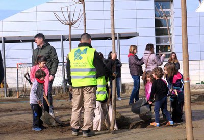 Els menuts han estat els voluntaris més participatius en la plantada.