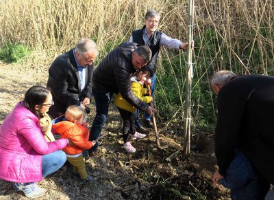 Els menuts també han volgut col·laborar a la Festa de l'Arbre.