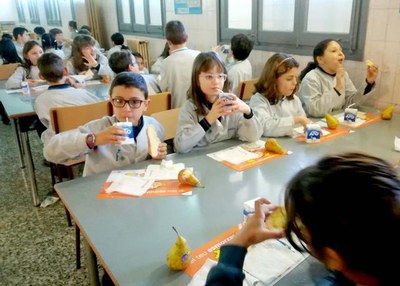 El Col·legi FEDAC (Annunciata) ja ha participat en el programa municipal Esmorzars Saludables que impulsa l'àrea de Salut Pública.