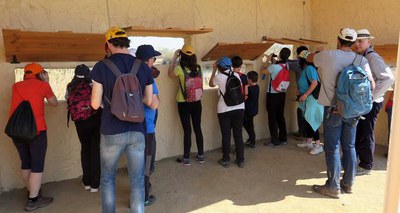 El punt d'observació permet contemplar diverses espècies d'aus.