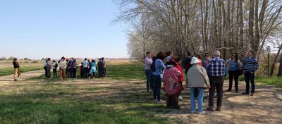 Els participants en l'ecodescoberta s'ha dividit en dos grups durant la visita.