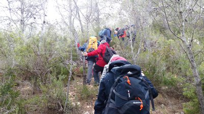 La Paeria promou l'activitat física entre les persones grans amb activitats de senderisme (imatge d'arxiu).