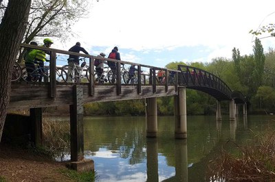 <bound method DexterityContent.Title of <NewsItem at /fs-paeria/paeria/ca/actualitat/noticies/31880>>.