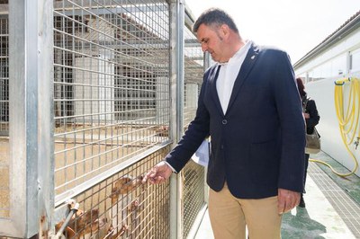 <bound method DexterityContent.Title of <NewsItem at /fs-paeria/paeria/ca/actualitat/noticies/31893>>.