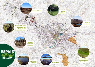 <bound method DexterityContent.Title of <NewsItem at /fs-paeria/paeria/ca/actualitat/noticies/32029>>.