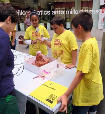 Les reaccions de diferents elements, les experiències més espectaculars.