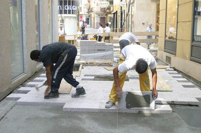 Imatge_cat_1732.jpg.