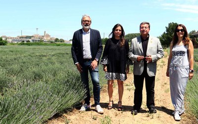 L'alcalde Larrosa i Mònica Rosselló, amb els regidors electes Cristina Morón i Joan Ramon Castro en un camp de lavanda.