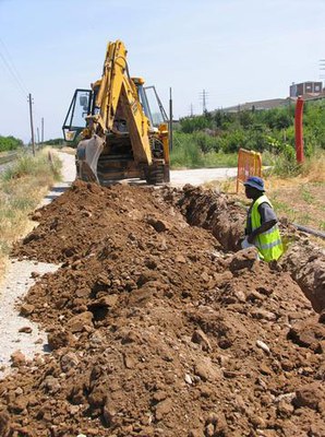 Imatge_cat_1739.jpg.