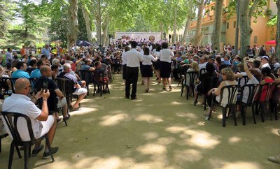 Nombrós públic s'ha donat cita als Camps Elisis per veure el colofó del Festival de Bandes.