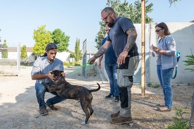 <bound method DexterityContent.Title of <NewsItem at /fs-paeria/paeria/ca/actualitat/noticies/32369>>.