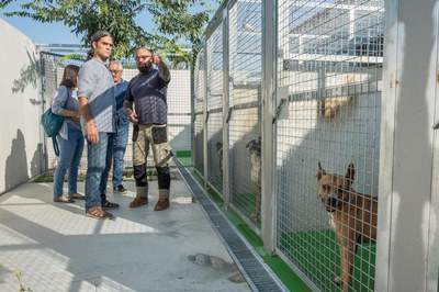 La Paeria estudia l’ampliació de la plantilla del Centre d’Acollida dels Animals de Companyia i crea la figura de dinamitzador amb l’objectiu de fome….