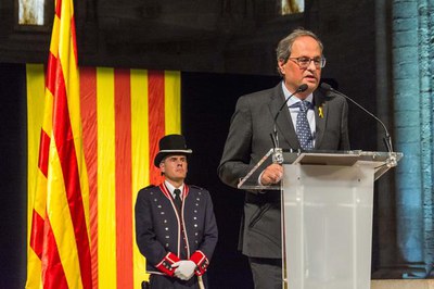 El president Quim Torra adreçant el seu missatge als assistents a l'acte de la Diada Nacional.