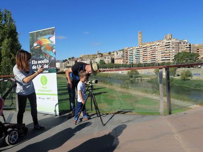 Els més menuts han descobert una observació fins ara desconeguda per ells.
