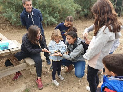 L'anellament d’ocells, una activitat que s'ha fet en col·laboració amb l’Institut Català d’Ornitologia..