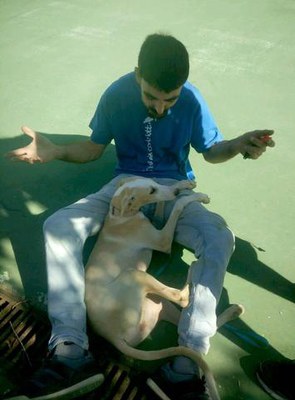 La Paeria desenvolupa el projecte Guau amb la col·laboració del Centre d'Acollida d'Animals de Companyia i de l'entitat Ilerkan.