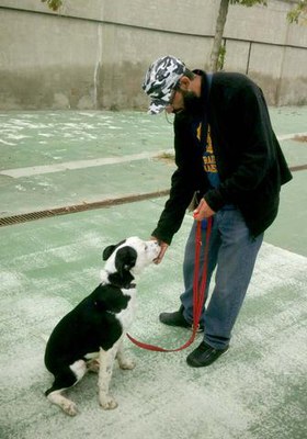 La Paeria ha iniciat la segona edició del projecte “Guau” desprès de l’èxit aconseguit en l’experiència pilot el curs passat.