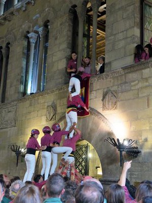 El regidor Ignasi Amor recollint la canalla que s'ha enfilat fins al Palau de la Paeria.