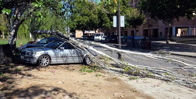 <bound method DexterityContent.Title of <NewsItem at /fs-paeria/paeria/ca/actualitat/noticies/32695>>.