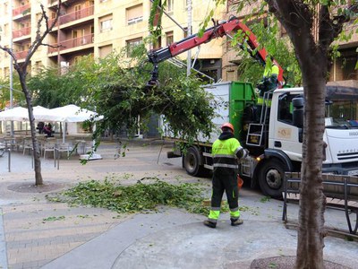 Els operaris retirant les branques tallades.