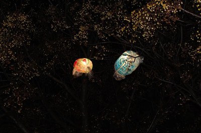 Les entitats i veïns i veïnes de la Mariola han elaborat ornaments i il·luminació de Nadal per al barri, amb material reciclat.