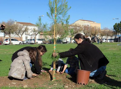 Diversos regidors de la Paeria s'han sumat a la plantació d'arbres al bosquet de Palauet de la Bordeta.