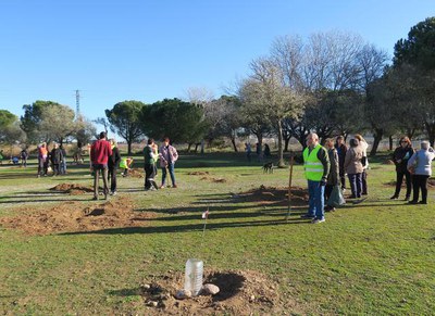 Plantació popular d’arbres al bosquet de Palauet de la Bordeta.