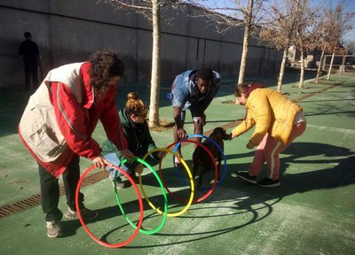 El projecte inclusiu “Guau” contribueix en l’adopció de 15 gossos.