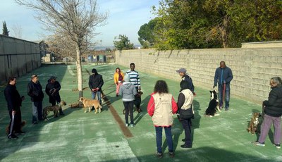 La 2a edició del projecte "Guau" ha comptat amb 12 persones usuàries de l’Àrea d’Inclusió, que s’han implicat en l’educació de 15 animals al Centre d….