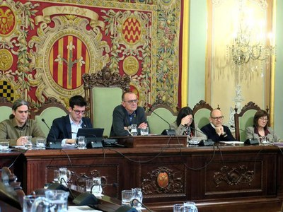 El paer en cap, Miquel Pueyo, ha presidit la sessió.