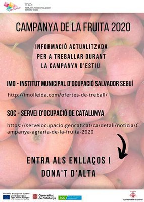 <bound method DexterityContent.Title of <NewsItem at /fs-paeria/paeria/ca/actualitat/noticies/33369>>.