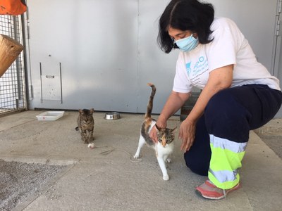 <bound method DexterityContent.Title of <NewsItem at /fs-paeria/paeria/ca/actualitat/noticies/33523>>.