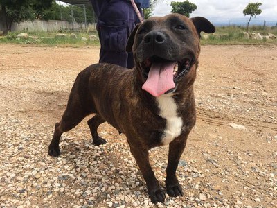 <bound method DexterityContent.Title of <NewsItem at /fs-paeria/paeria/ca/actualitat/noticies/33663>>.