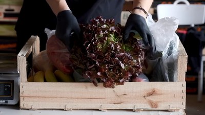 La Paeria difon quatre vídeos amb el lema “l’Horta és vida” en què es remarca la qualitat d’aquest producte de proximitat i el treball que hi ha al d….