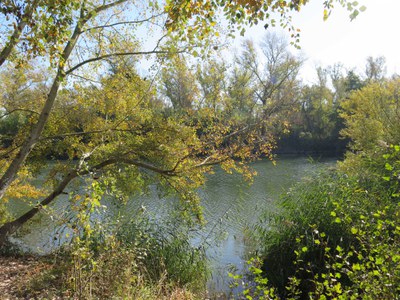 <bound method DexterityContent.Title of <NewsItem at /fs-paeria/paeria/ca/actualitat/noticies/33848>>.