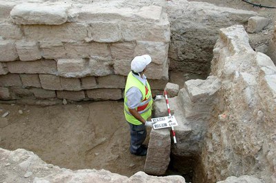 Imatge_cat_1875.jpg.