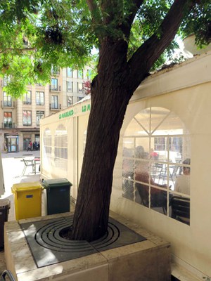 <bound method DexterityContent.Title of <NewsItem at /fs-paeria/paeria/ca/actualitat/noticies/34052>>.