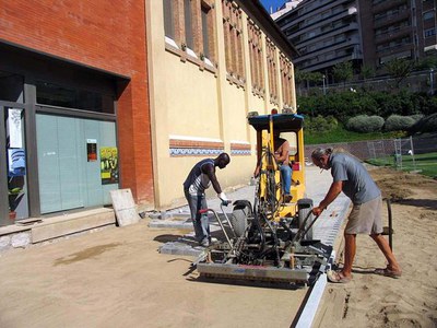 Imatge_cat_1888.jpg.