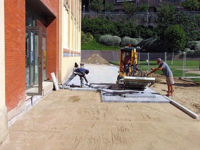 Imatge_cat_1889.jpg.