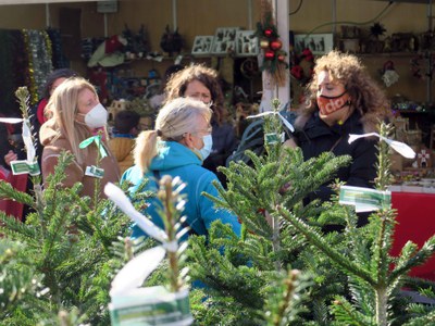 <bound method DexterityContent.Title of <NewsItem at /fs-paeria/paeria/ca/actualitat/noticies/34386>>.