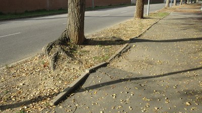 <bound method DexterityContent.Title of <NewsItem at /fs-paeria/paeria/ca/actualitat/noticies/34399>>.