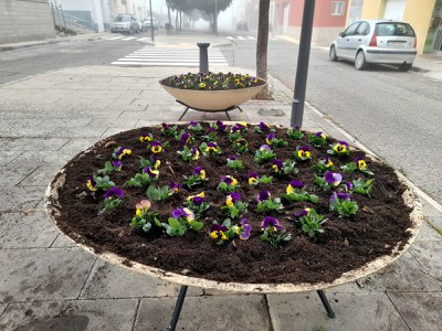 Els serveis de Jardineria han plantat més de 3.200 plantes.