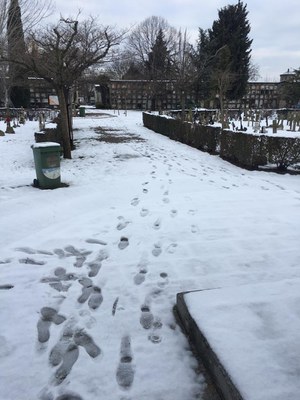 <bound method DexterityContent.Title of <NewsItem at /fs-paeria/paeria/ca/actualitat/noticies/34521>>.