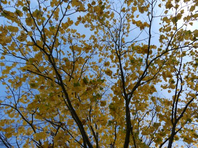 <bound method DexterityContent.Title of <NewsItem at /fs-paeria/paeria/ca/actualitat/noticies/34737>>.