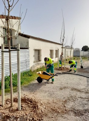 <bound method DexterityContent.Title of <NewsItem at /fs-paeria/paeria/ca/actualitat/noticies/34849>>.