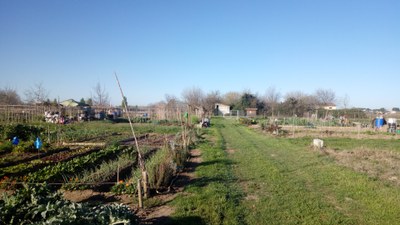 <bound method DexterityContent.Title of <NewsItem at /fs-paeria/paeria/ca/actualitat/noticies/34868>>.