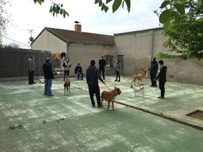 <bound method DexterityContent.Title of <NewsItem at /fs-paeria/paeria/ca/actualitat/noticies/34925>>.